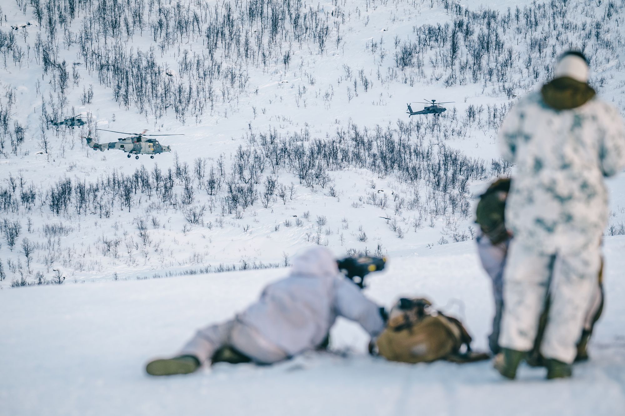 Nektelses-konseptet: Utfordringer med avskrekking