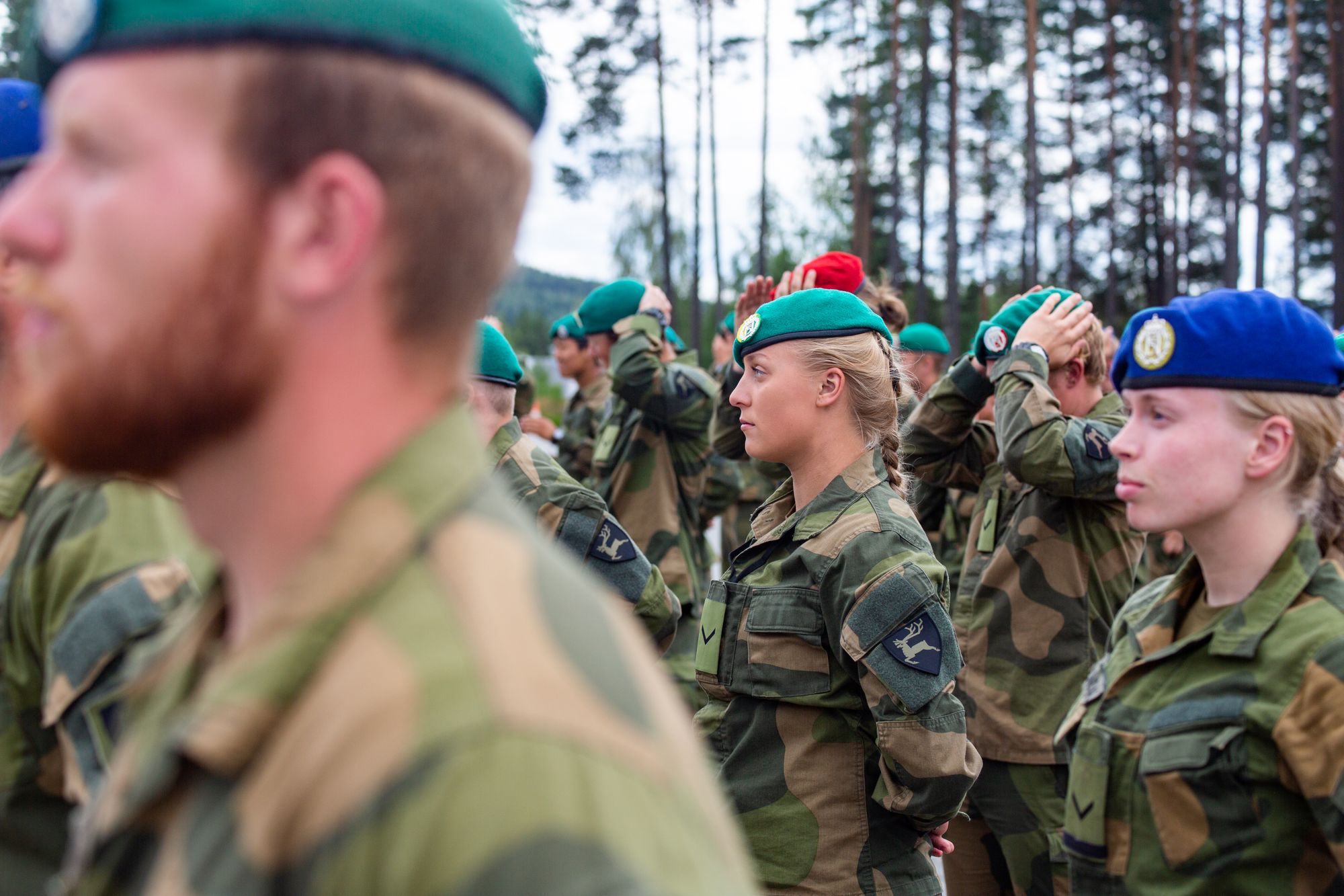 Hvilken gruppesammensetning er den beste for å løse nye utfordringer i dagens samfunn? Mangfold i Task Force Telemark bataljon