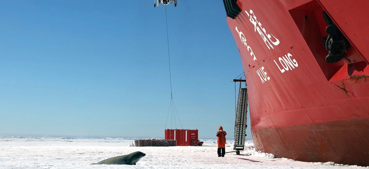 The Changing Shape of Arctic Security