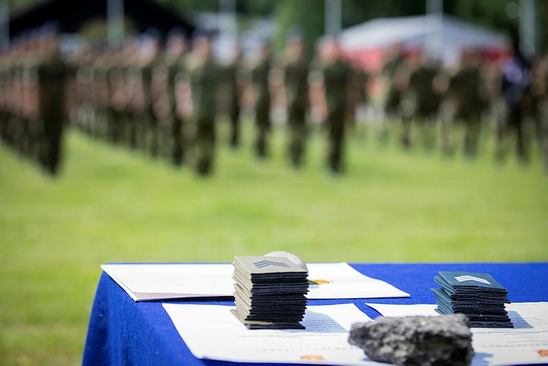 Spesialistkorpset og forsvarsmodellen