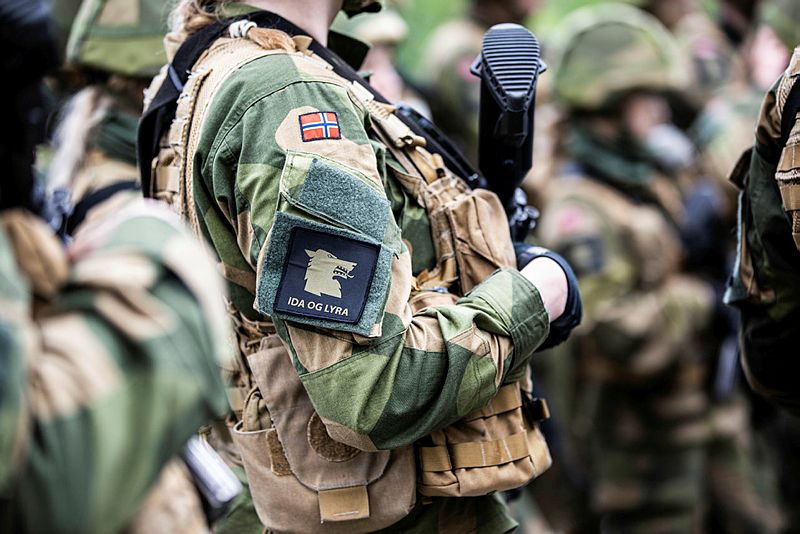 Replikk: Skisse av et krigsavvergende forsvar