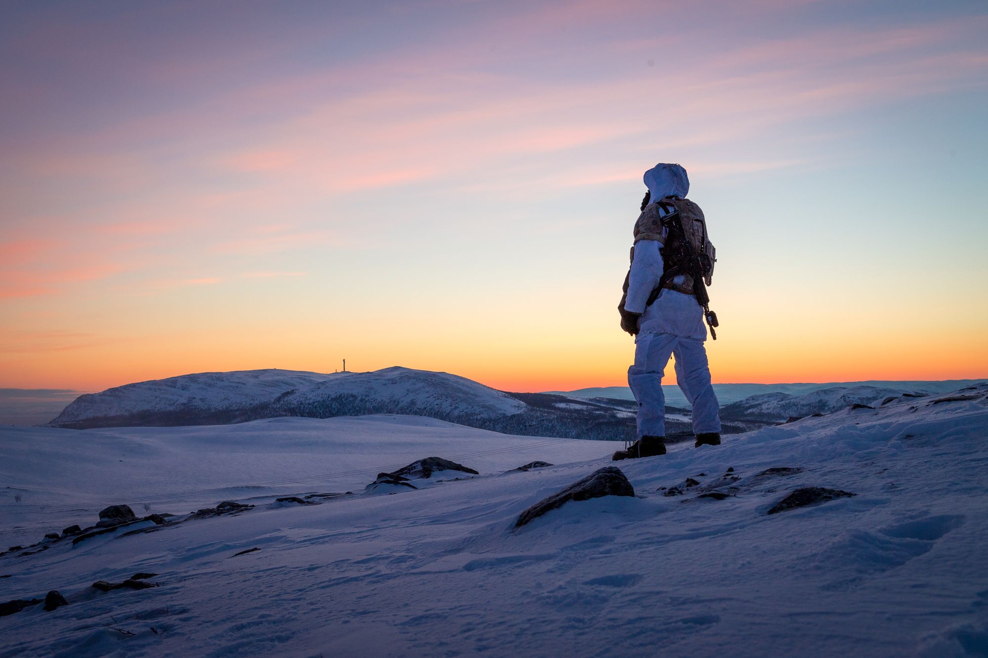 Interessant og viktig om forsvarsvilje