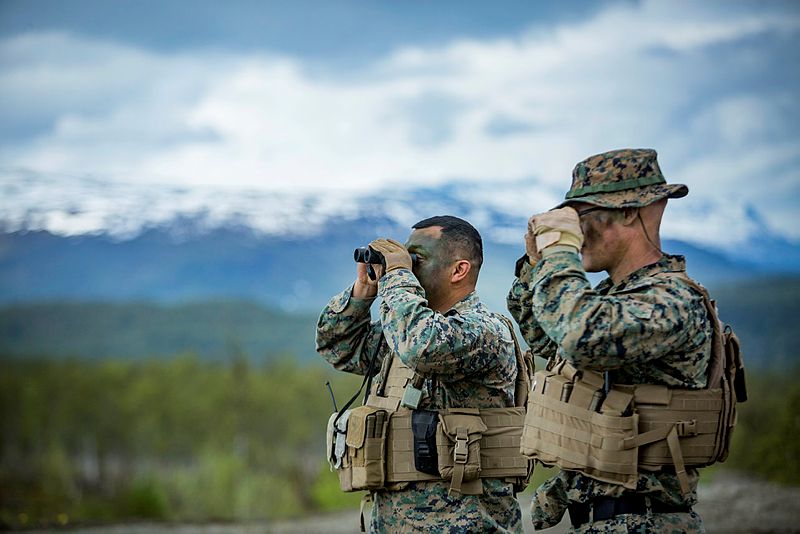 Militærteori som smertelindring