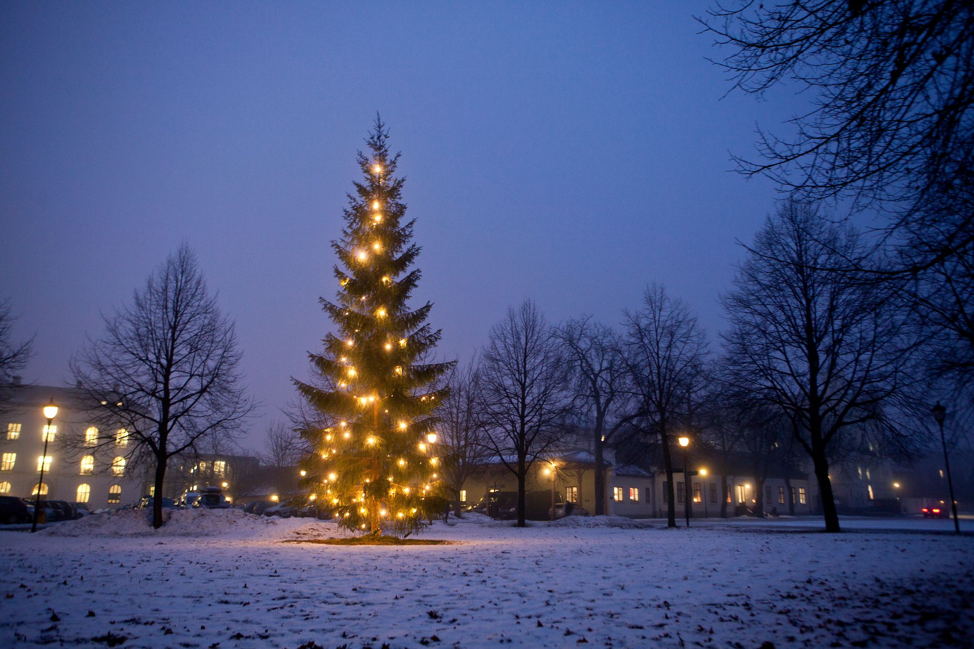 Et gammeldags juleeventyr