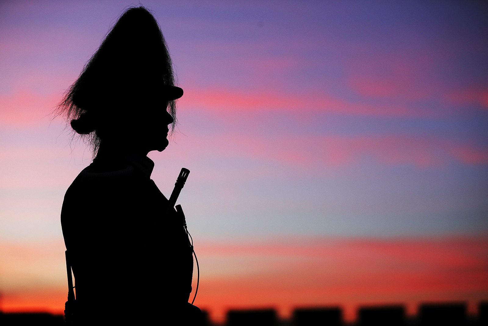 Militæret og politikken