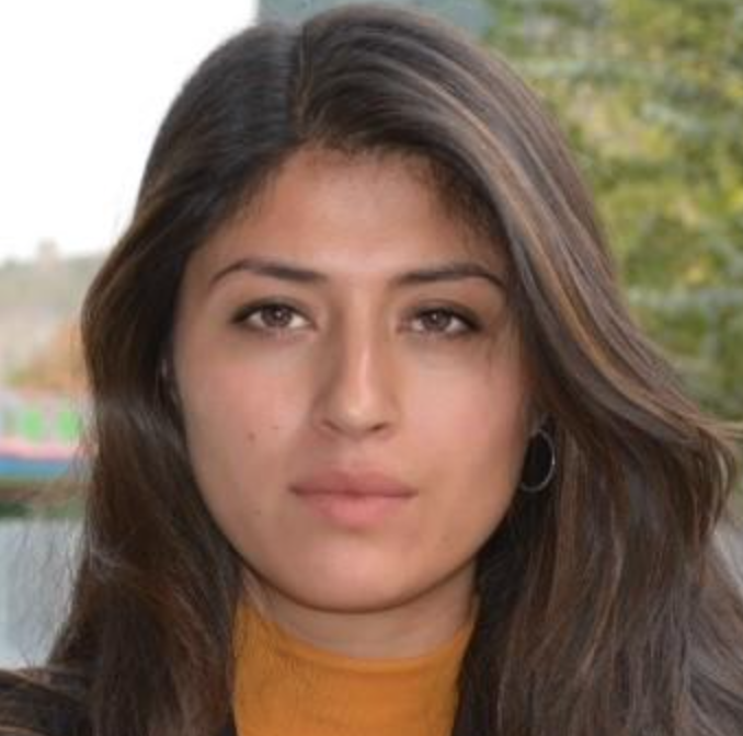 Samina Ansari