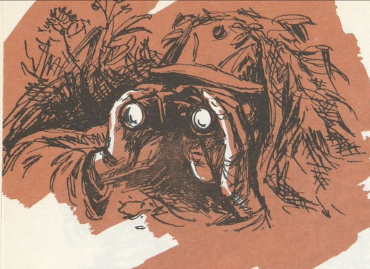 «Den doktorale offiser» - 
mangelen på systematisk kompetanseutvikling (del 1/2)