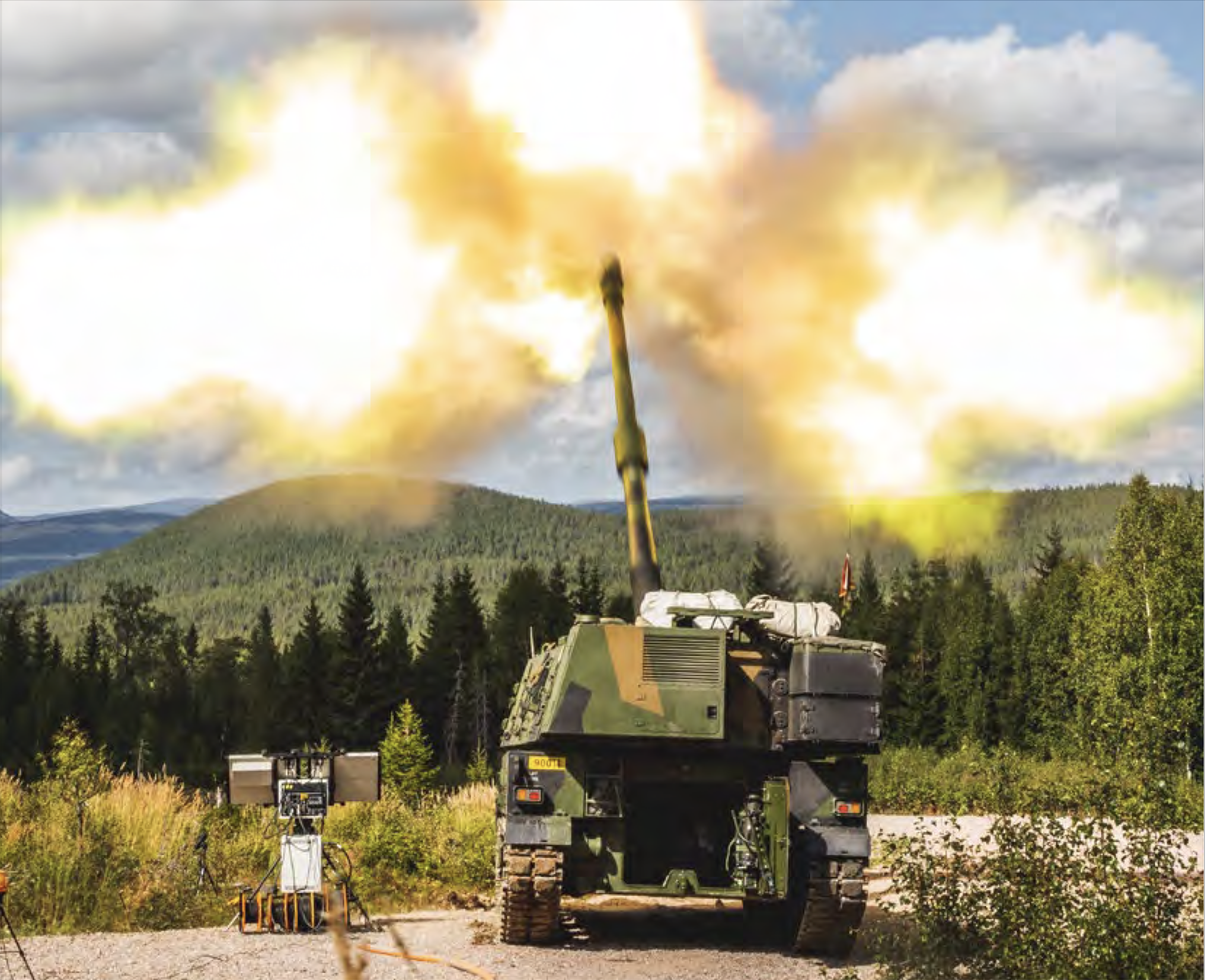 Kommentarer fra slakterbenken - et lite tilsvar til Sverre Diesen