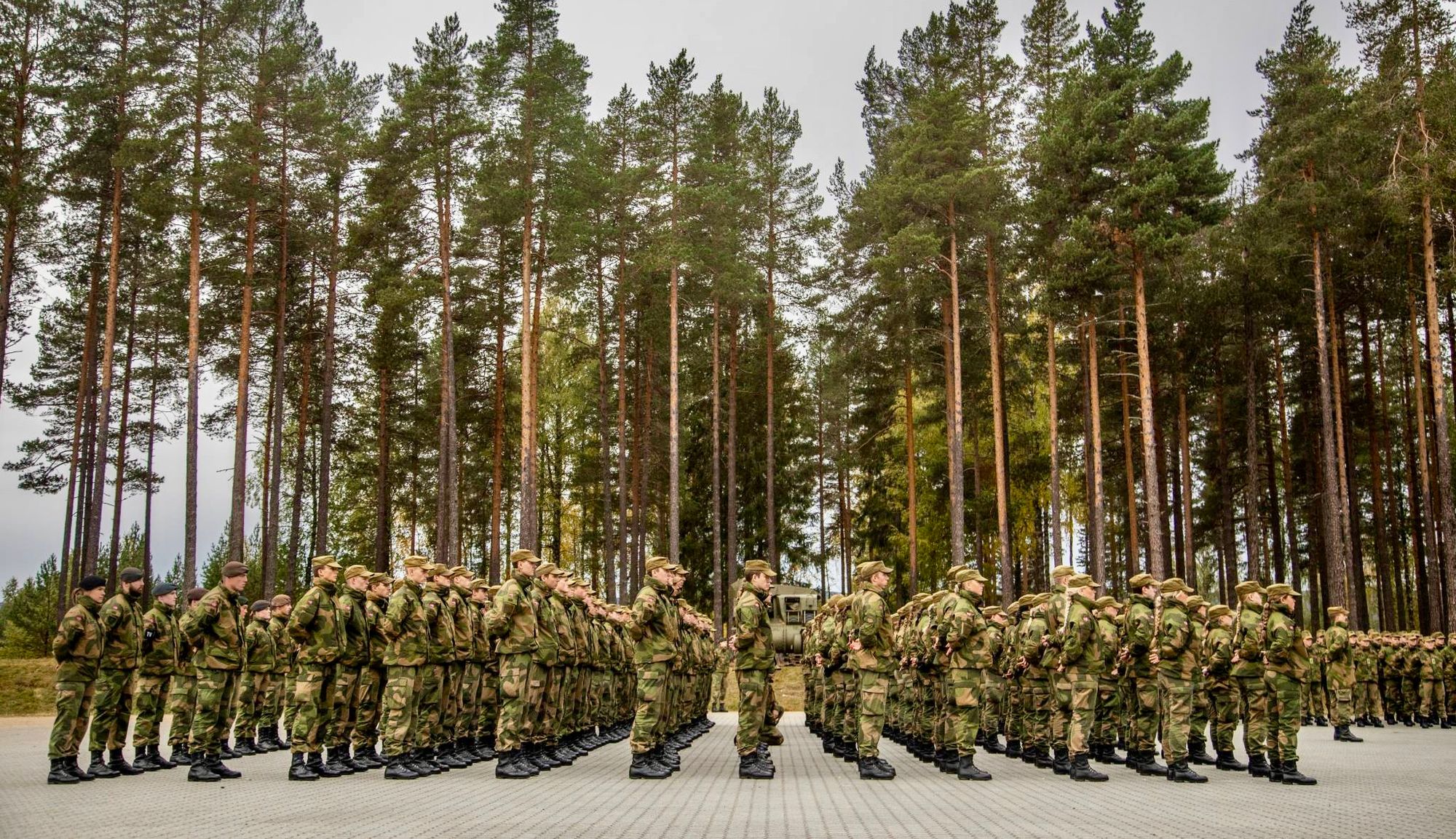 Noen ord om overgrep, ukultur og læringskultur i Forsvaret