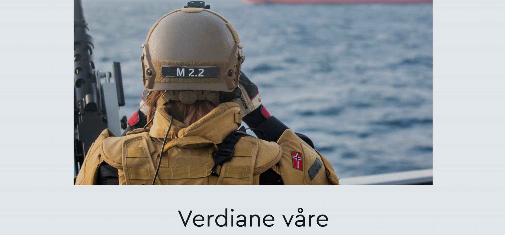 Når lederne mister bakkekontakten