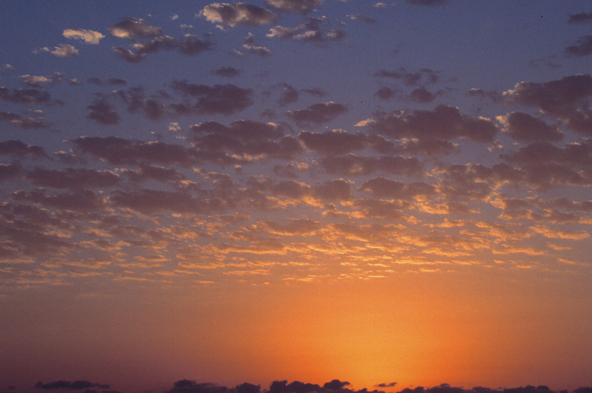 Sikkerhet og skytjenester – klar sikt eller ut i tåka?