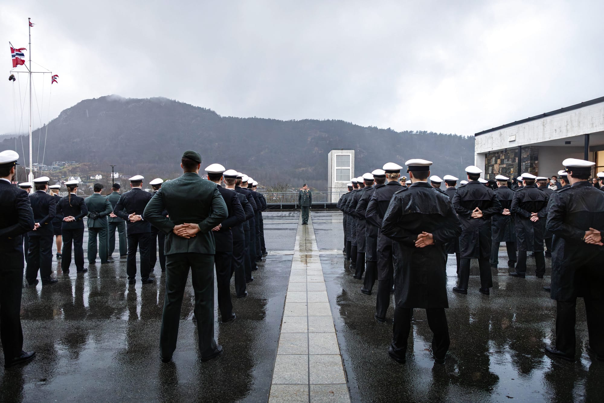 Skilpaddens triumf og den operative kostnaden