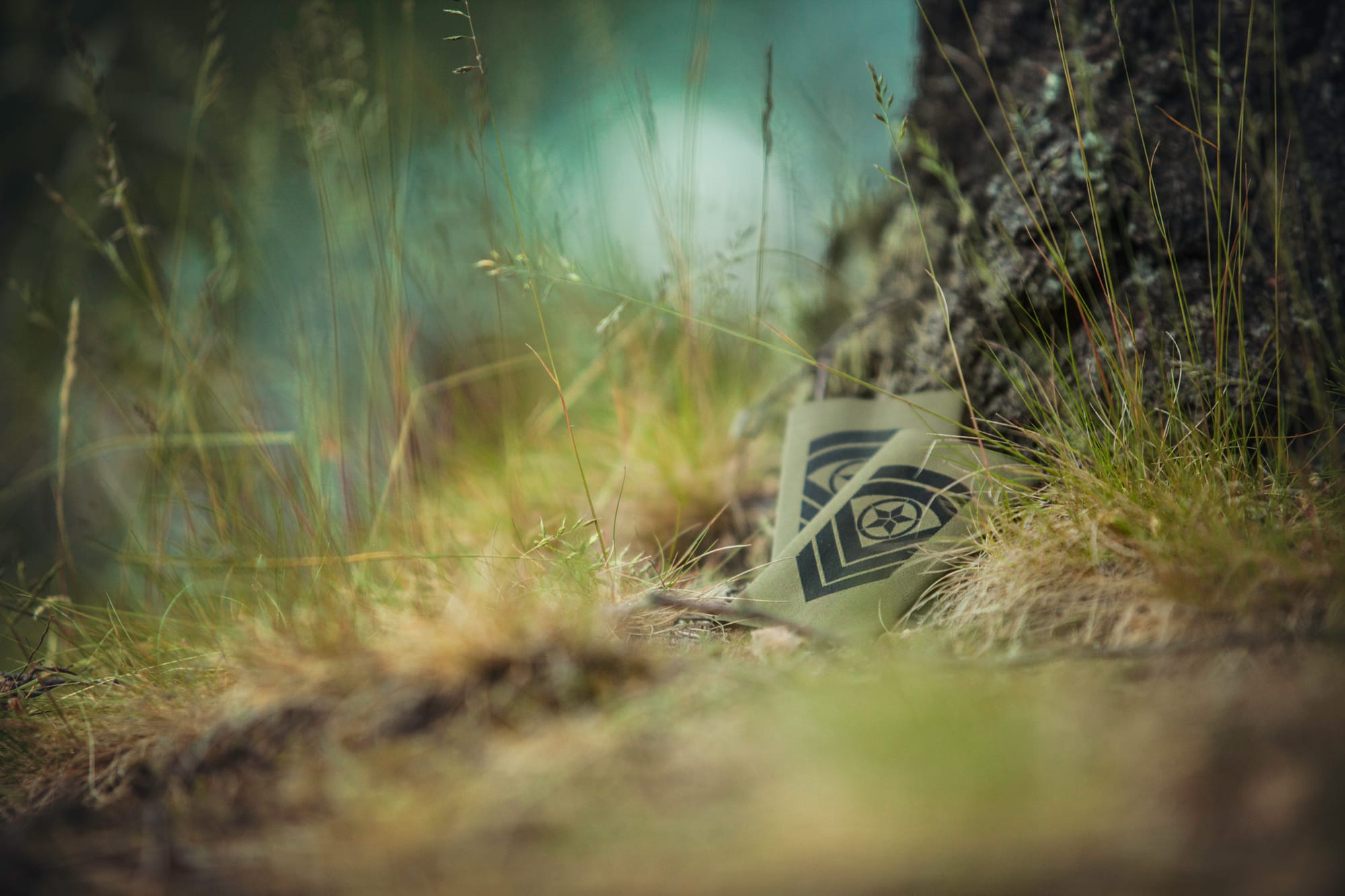 Forsvarets spesialistpolicy: En anmeldelse og refleksjoner om OMT