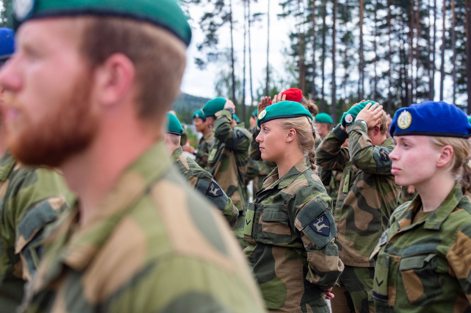 Hvilken gruppesammensetning er den beste for å løse nye utfordringer i dagens samfunn? Mangfold i Task Force Telemark bataljon