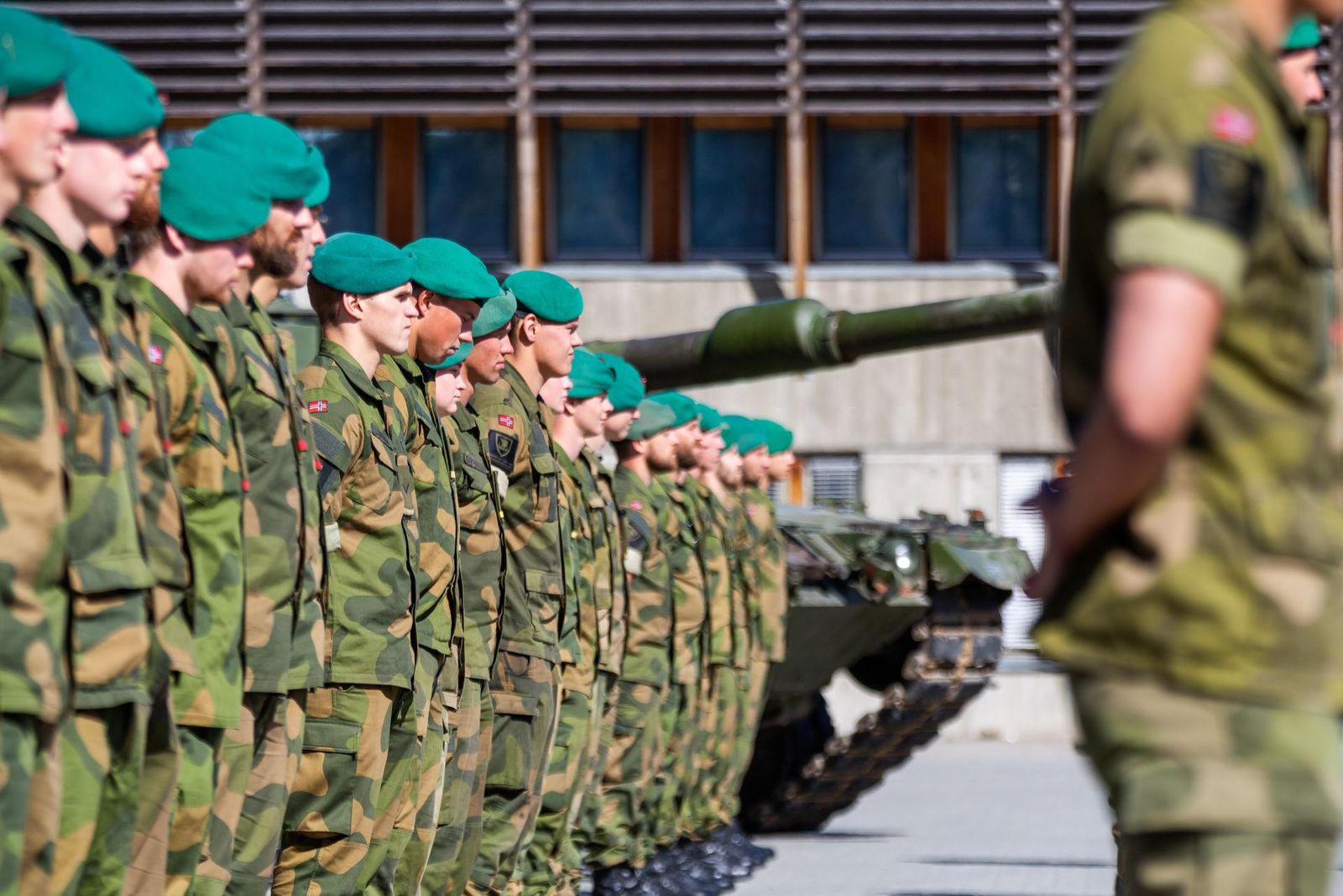 Mestring og utvikling av avdelingskultur i Task Force Telemark bataljon