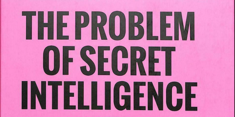 What is Intelligence? a video review by Kjetil Anders Hatlebrekke