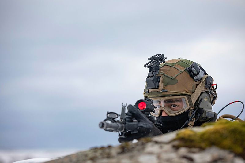 Hva vil vi med Forsvaret?