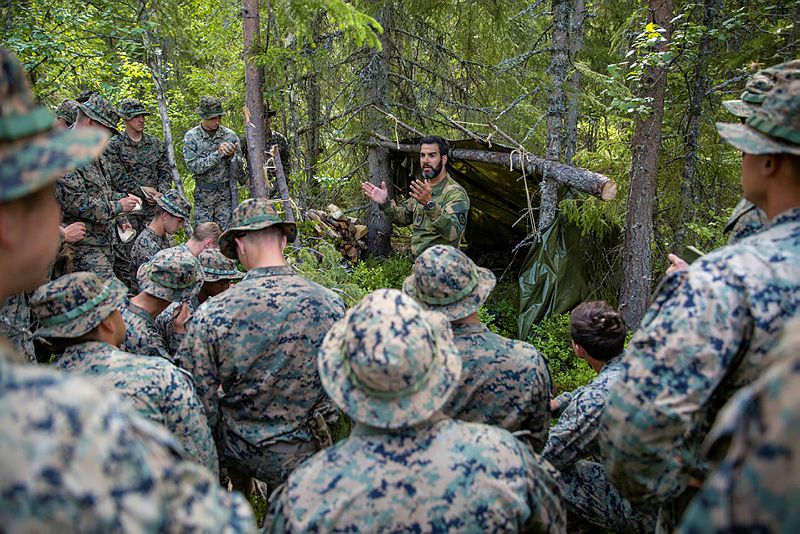 Replikk: Avskrekking og kriterier for Intops – avsluttende bemerkninger