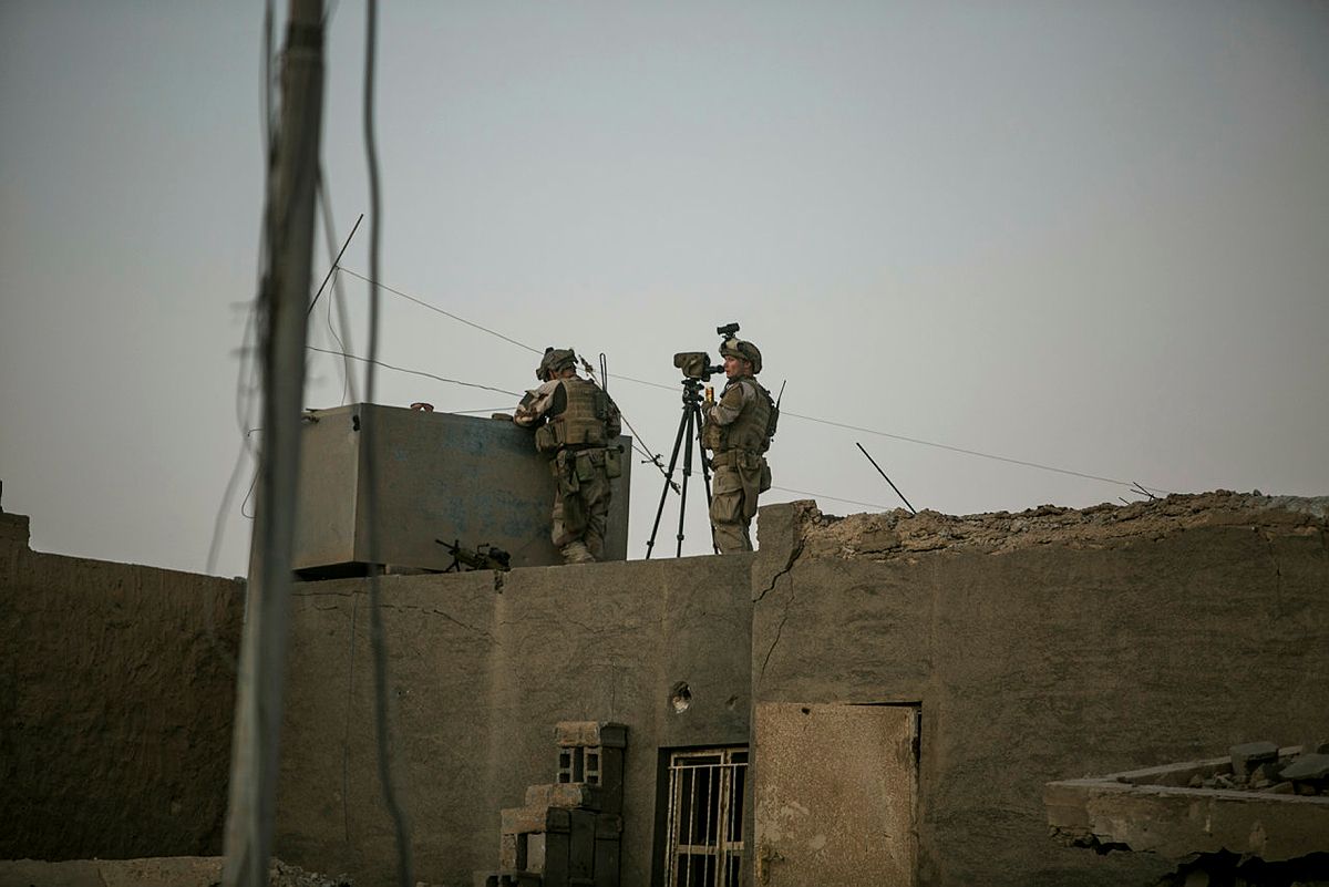 The Operational Environment Through the Eye of a Fly