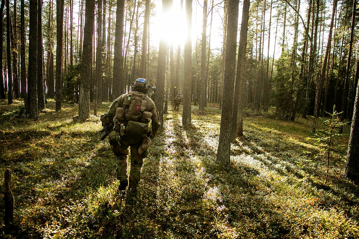 Forsvarets rasjonale er å kunne kjempe nasjonens kriger