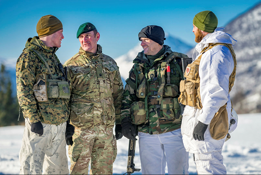 Grunnleggende offisersutdanning 
- et alliert perspektiv