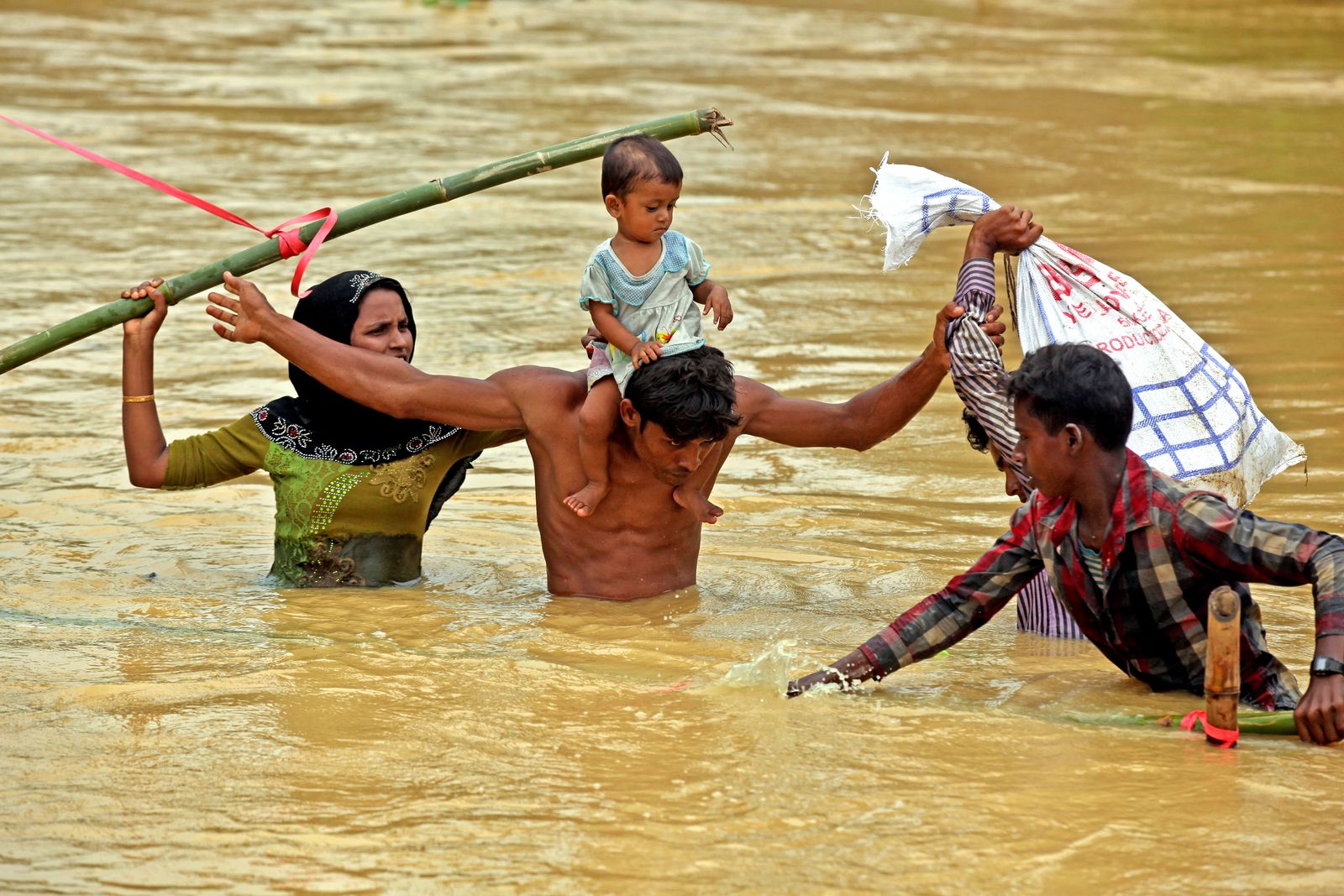 Naturødeleggelser og krig: miljøet må beskyttes for å forebygge konflikt