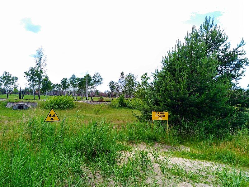 Hangarskip, CBRN og Tsjernobyl