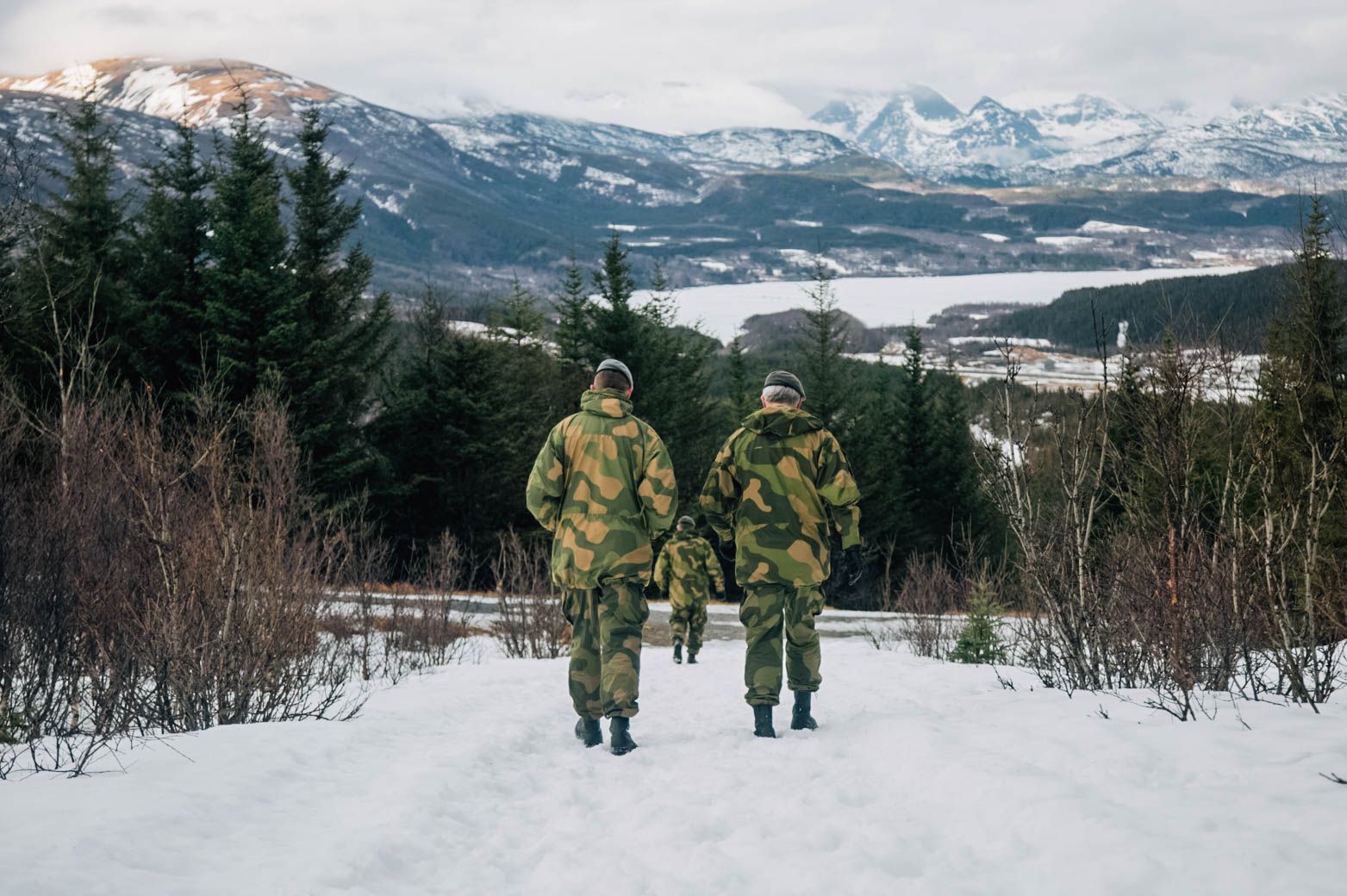 Høibacks gratisteorem
