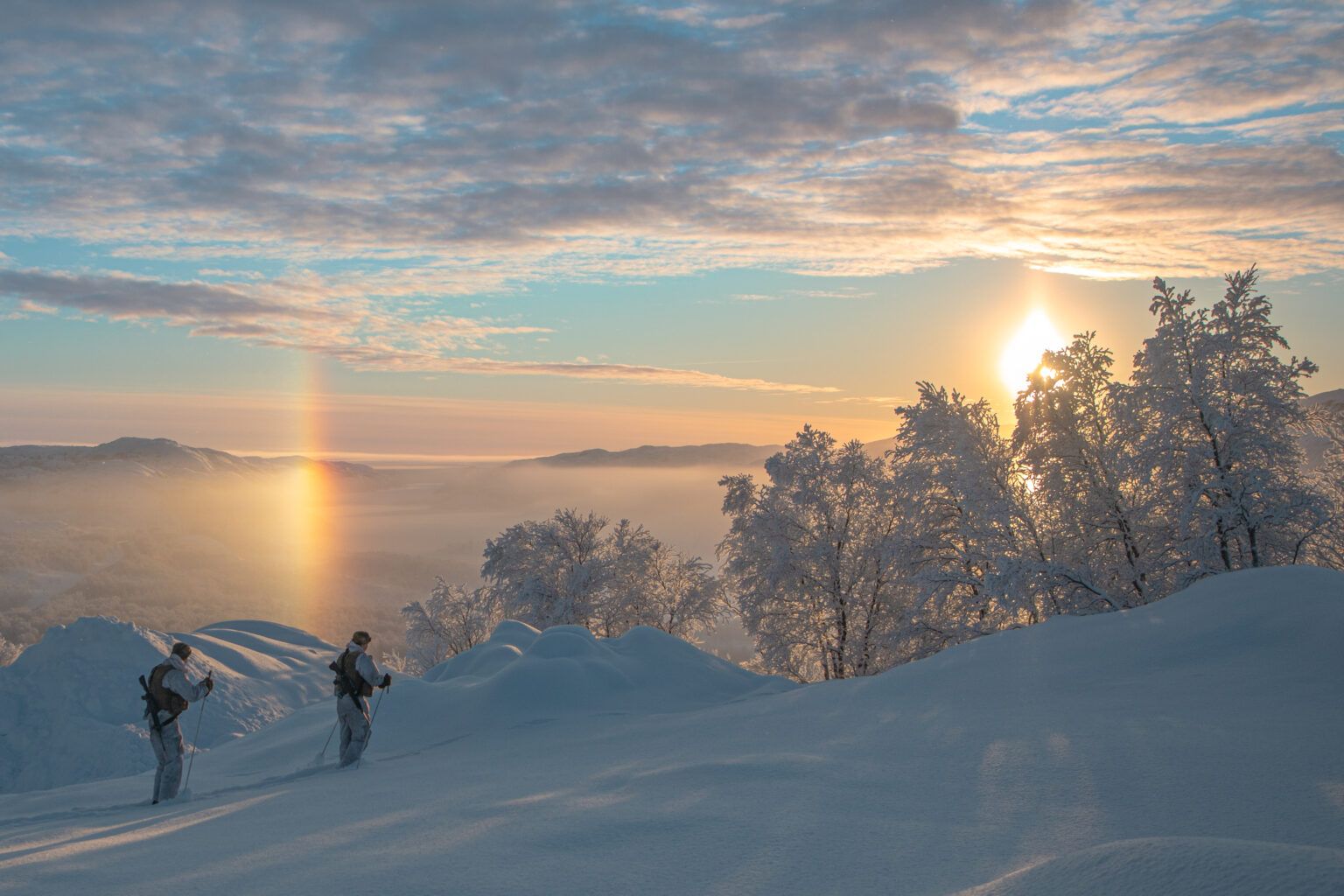 Landoperasjoner i Nordområdet