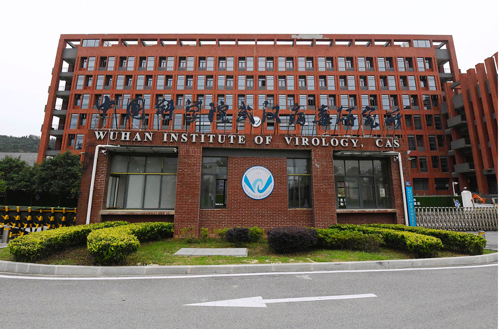 MEDINT og opphavet til Covid-19