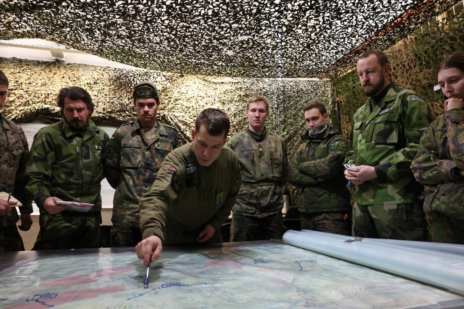 Allierte i Nord - Politikk og Praksis i Norden