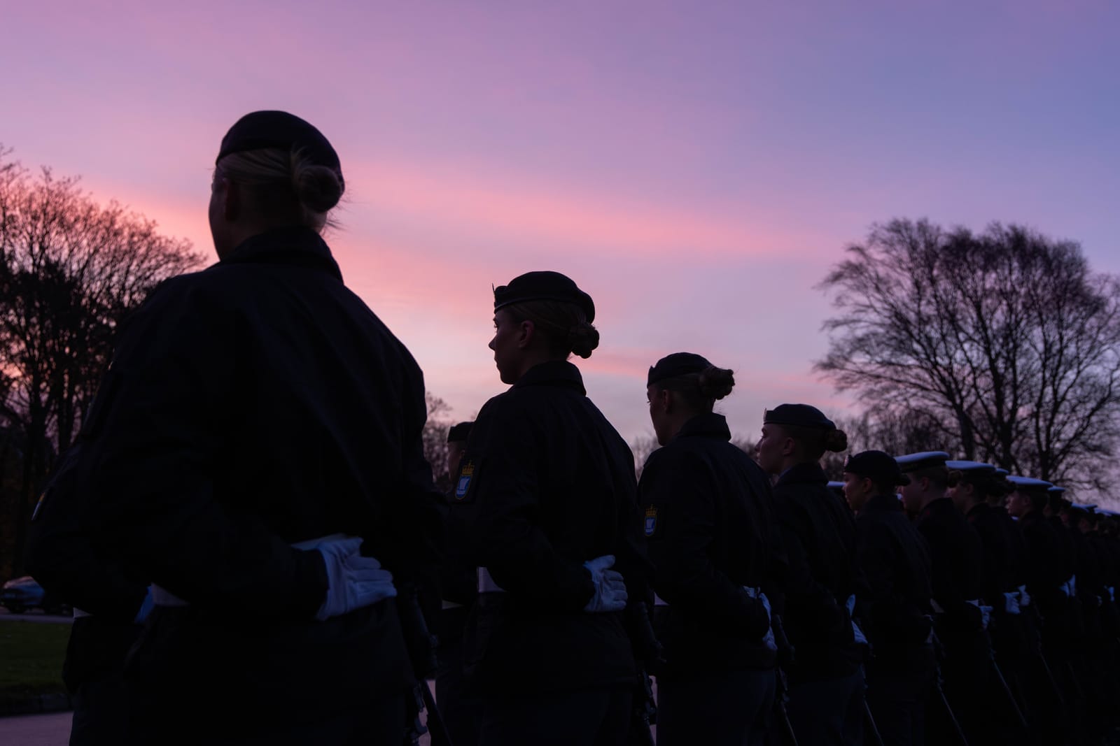 Den militære profesjon – hvordan forstå dette begrepet i en norsk kontekst?