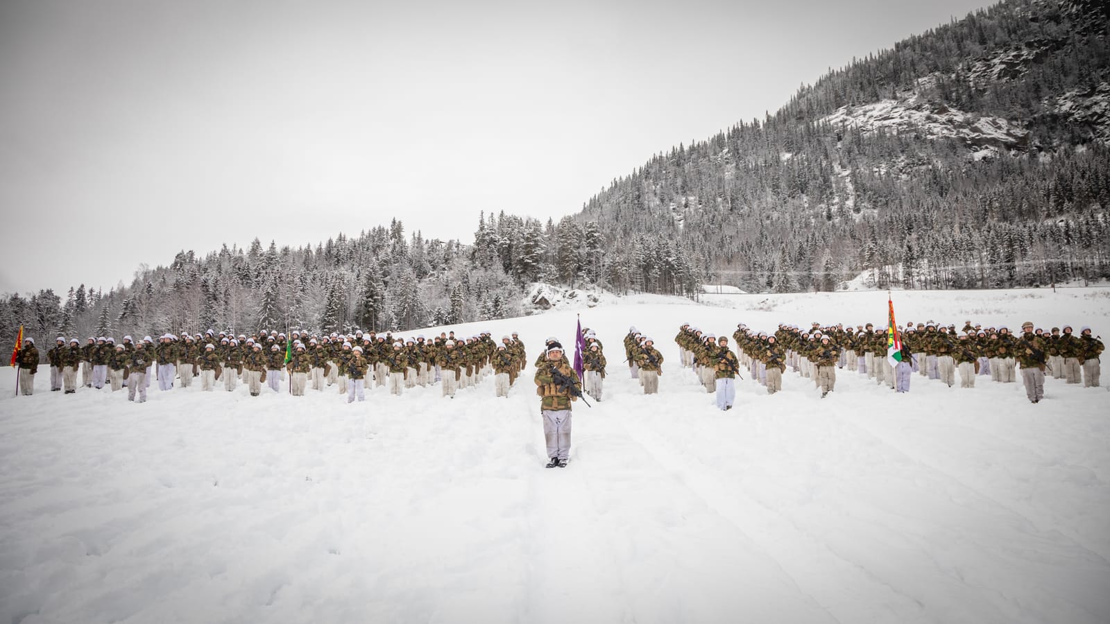 Det olivengrønne skiftet