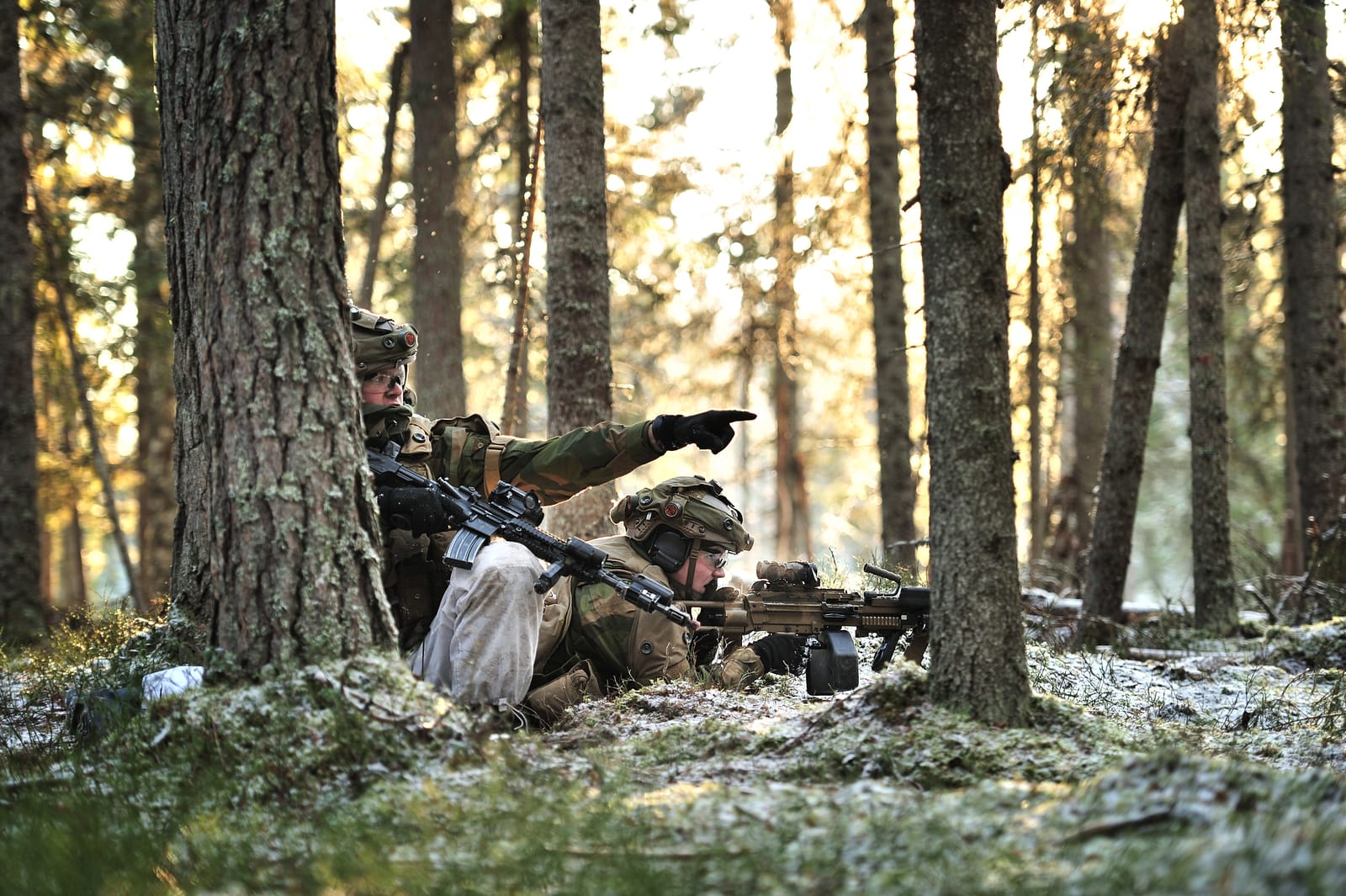 Når simulatorbruk er frivillig, utgjør det ikke en kapabilitet