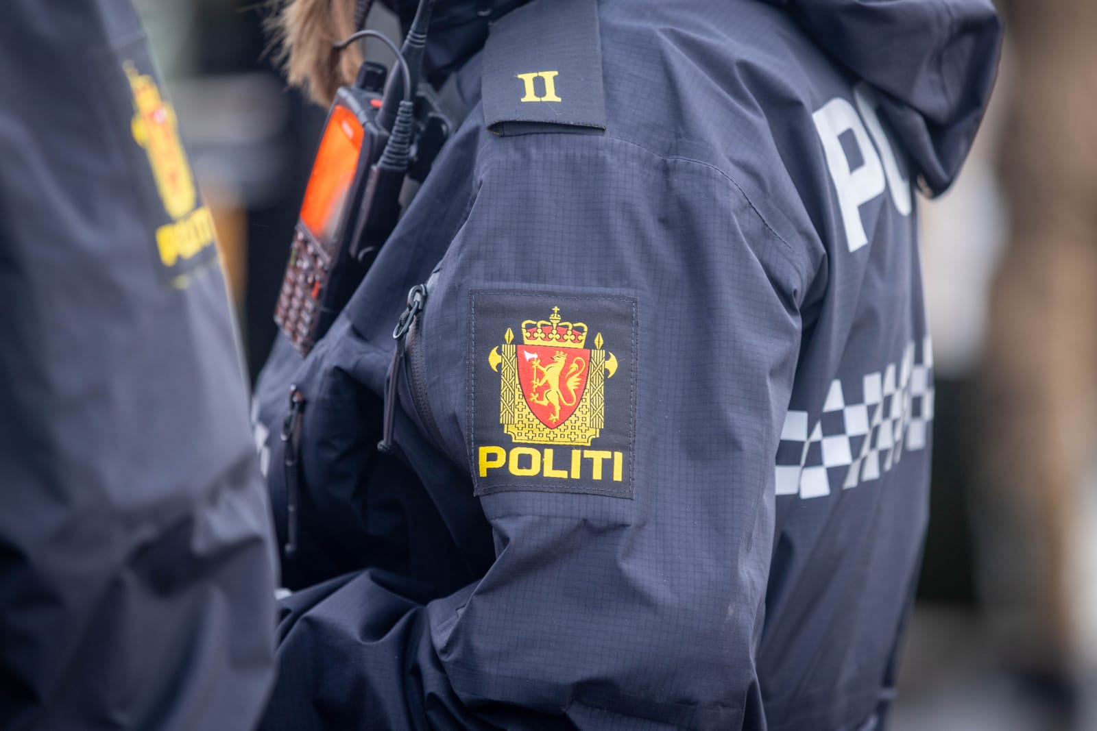 En analytiker til besvær